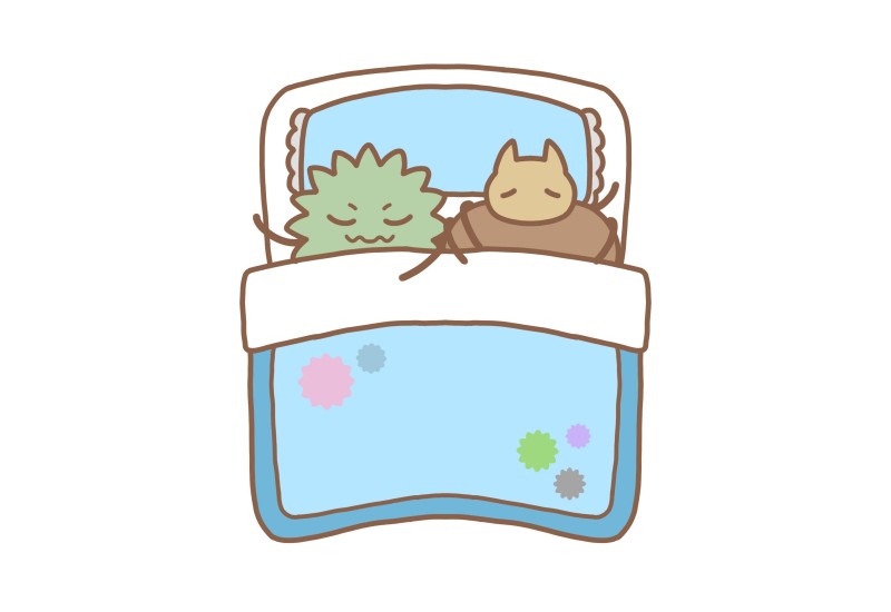 布団のカビ