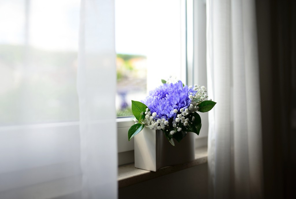 窓際にある植物の画像