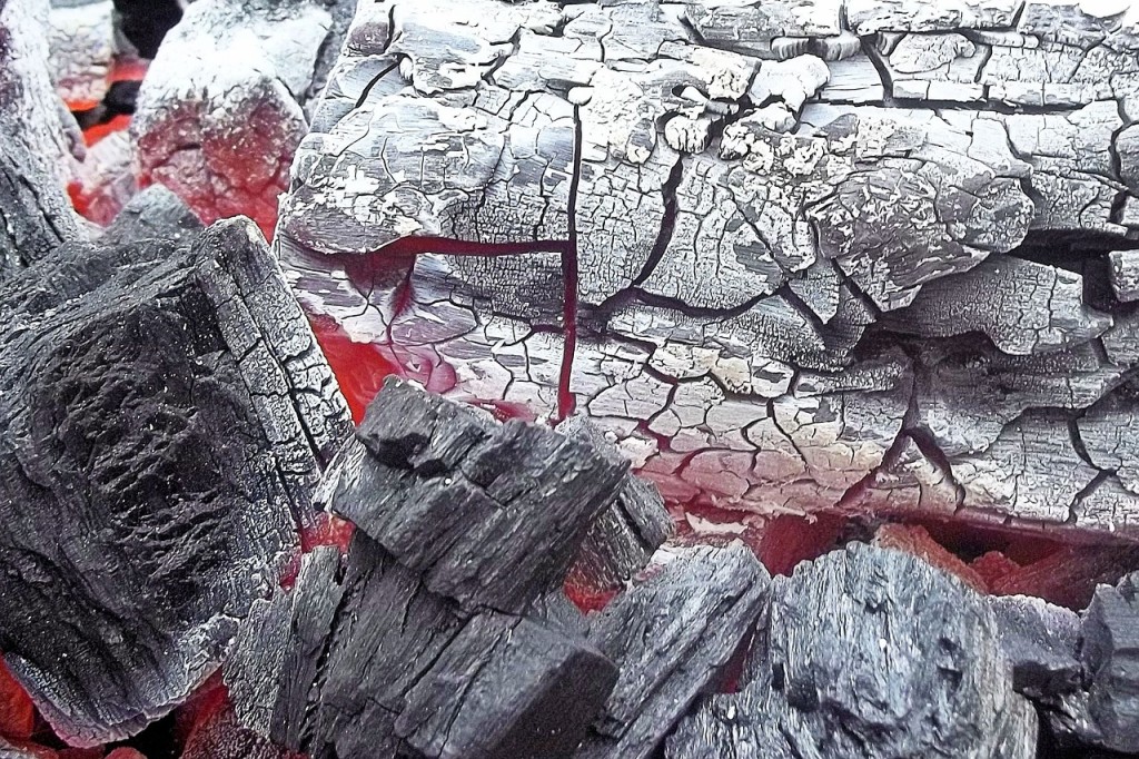 炭の画像
